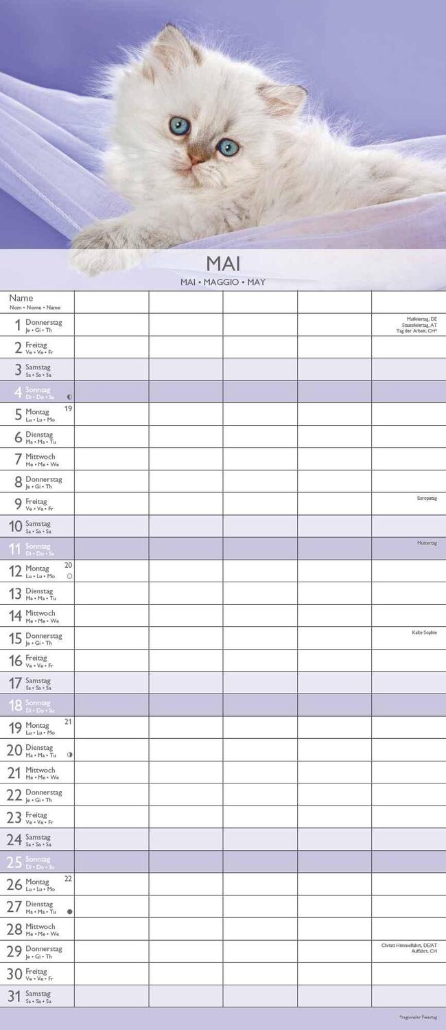 Bild: 4251732341381 | Kätzchen 2025 Familienplaner - Familienkalender - Wandkalender -...