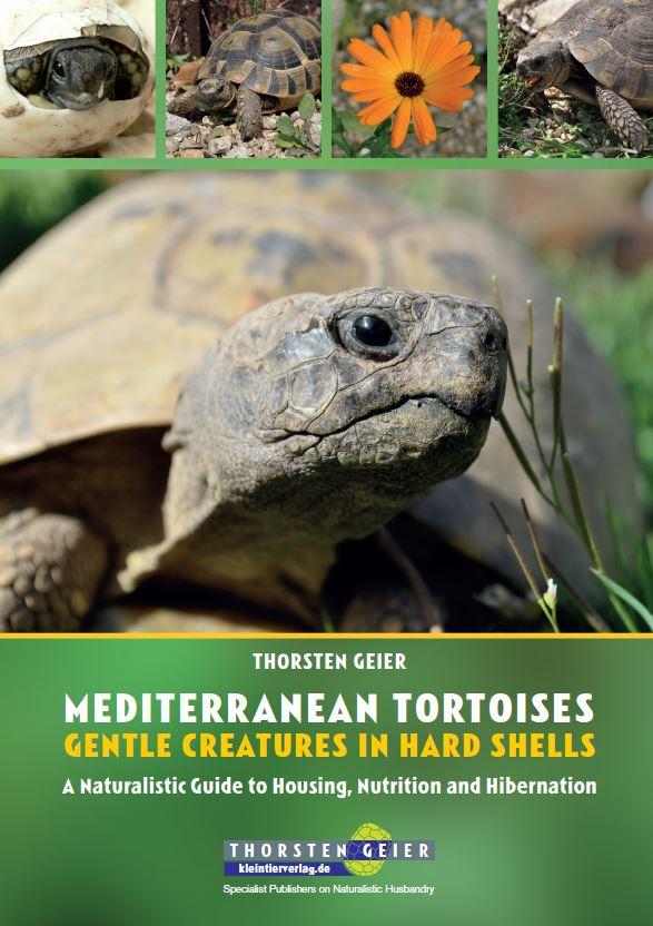 Cover: 9783944484334 | Mediterranean Tortoises: Gentle Creatures in Hard Shells | Geier