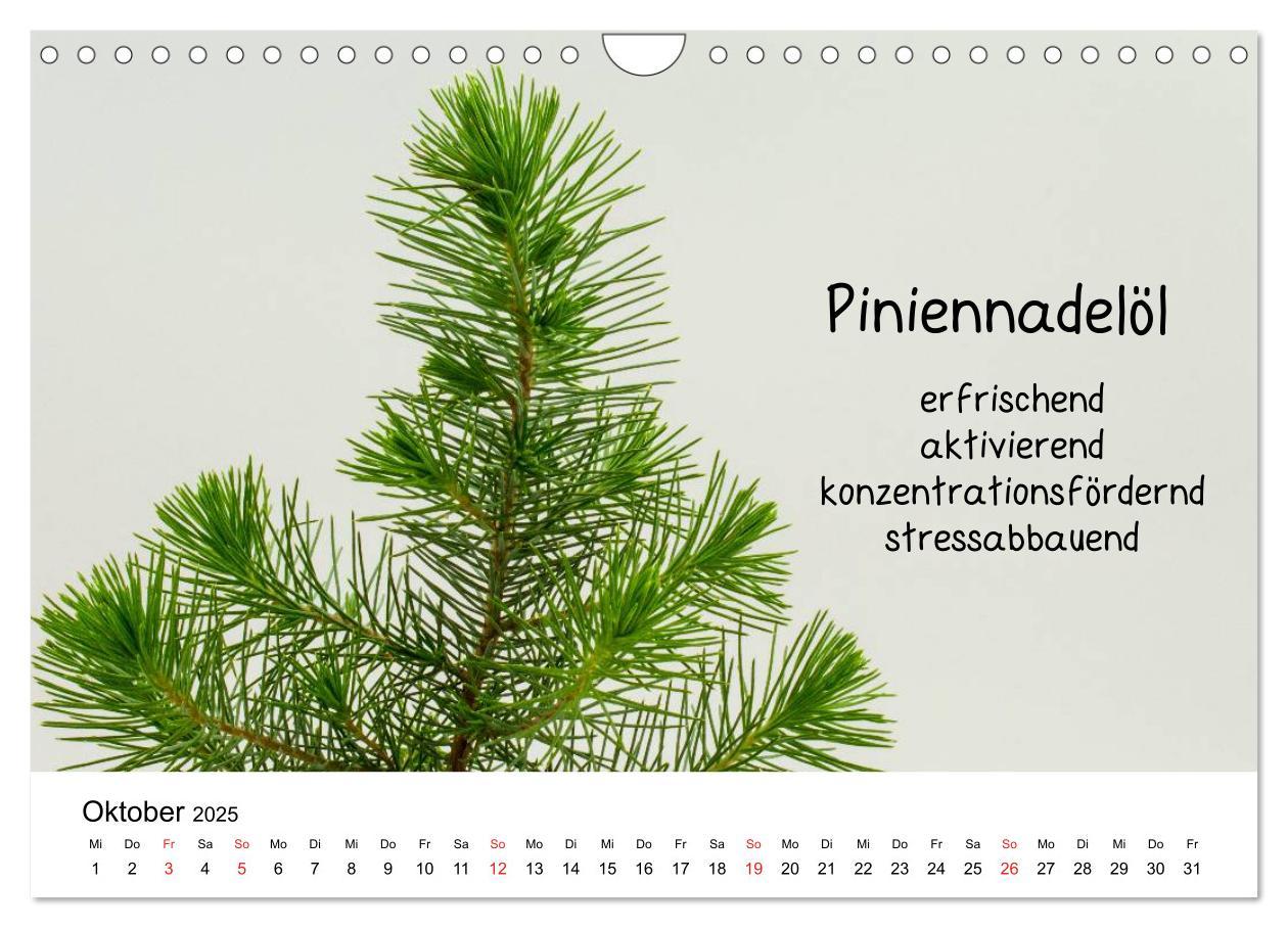 Bild: 9783435515028 | Aromatherapie - Düfte für die Seele (Wandkalender 2025 DIN A4...