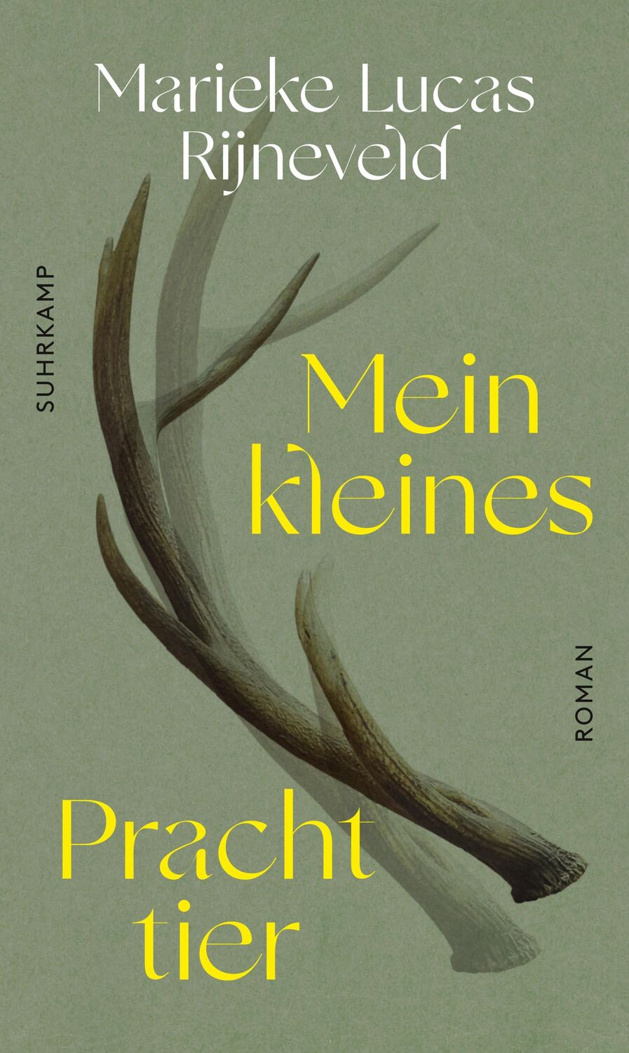 Cover: 9783518430255 | Mein kleines Prachttier | Roman | Marieke Lucas Rijneveld | Buch