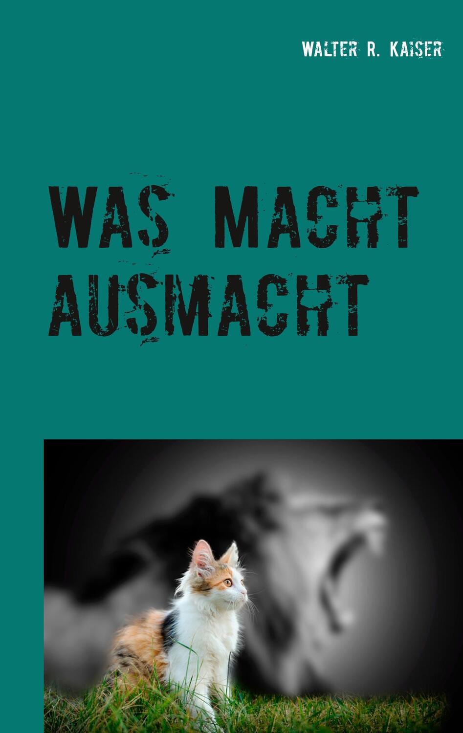 Cover: 9783744831291 | Was Macht ausmacht | oder: Das Macht-Paradox | Walter R. Kaiser | Buch