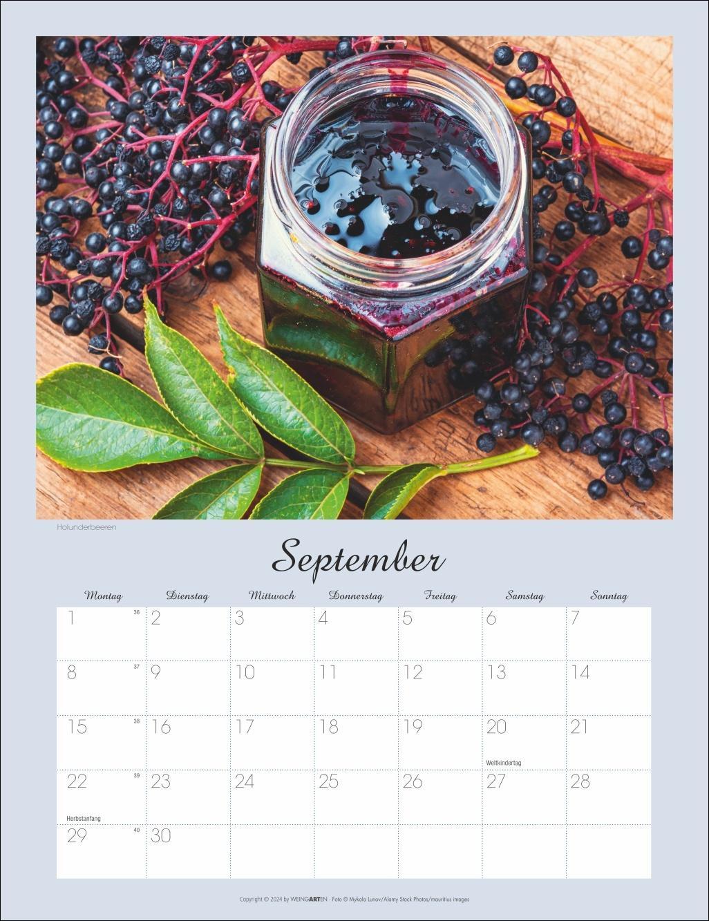 Bild: 9783839901465 | Beeren Kalender 2025 | Kalender | Spiralbindung | 14 S. | Deutsch