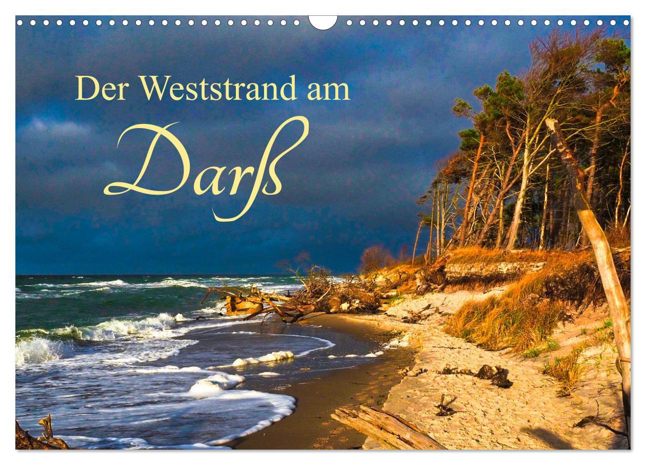 Cover: 9783457242162 | Der Weststrand am Darß (Wandkalender 2025 DIN A3 quer), CALVENDO...