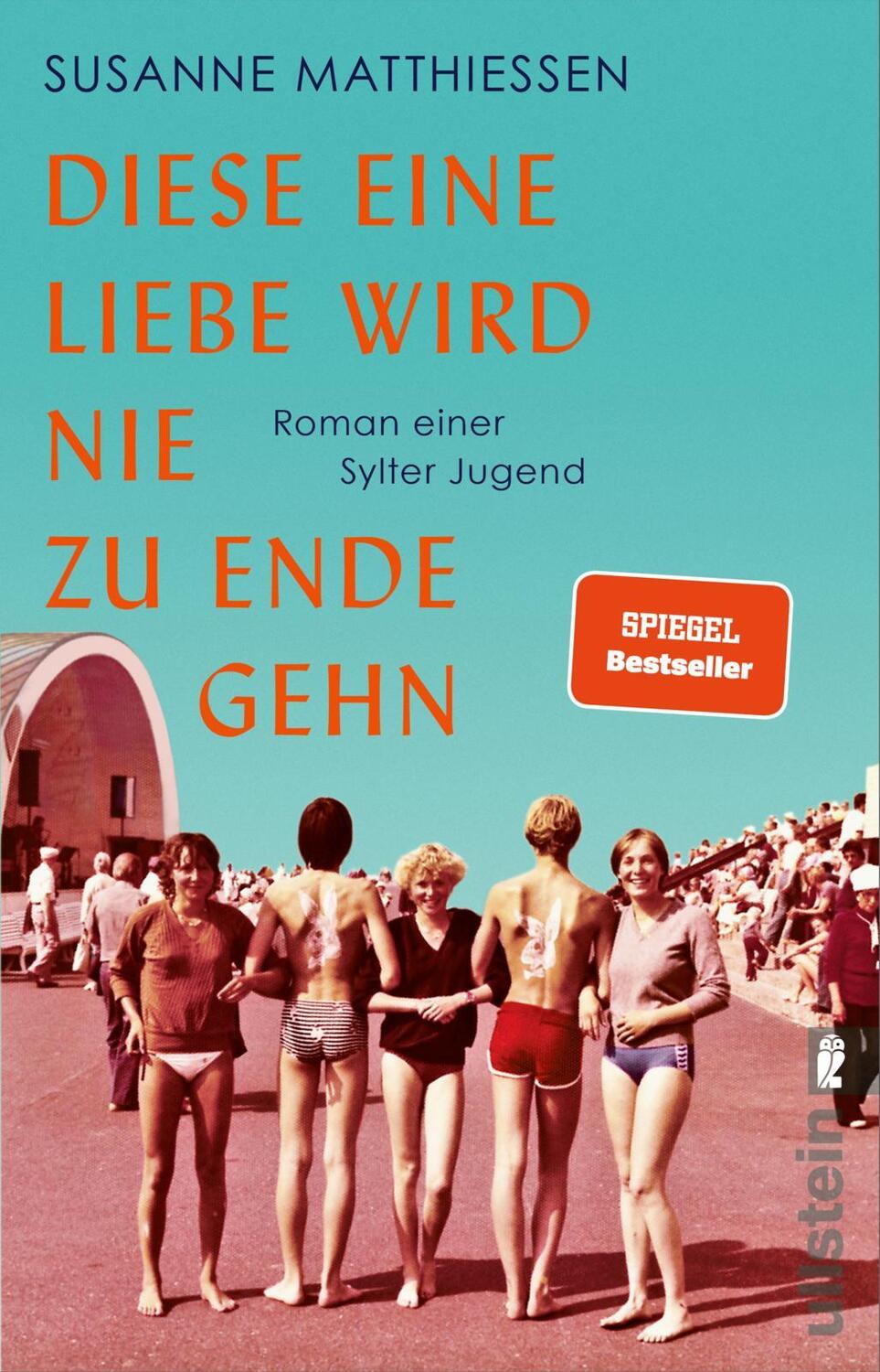 Cover: 9783548067803 | Diese eine Liebe wird nie zu Ende gehn | Susanne Matthiessen | Buch