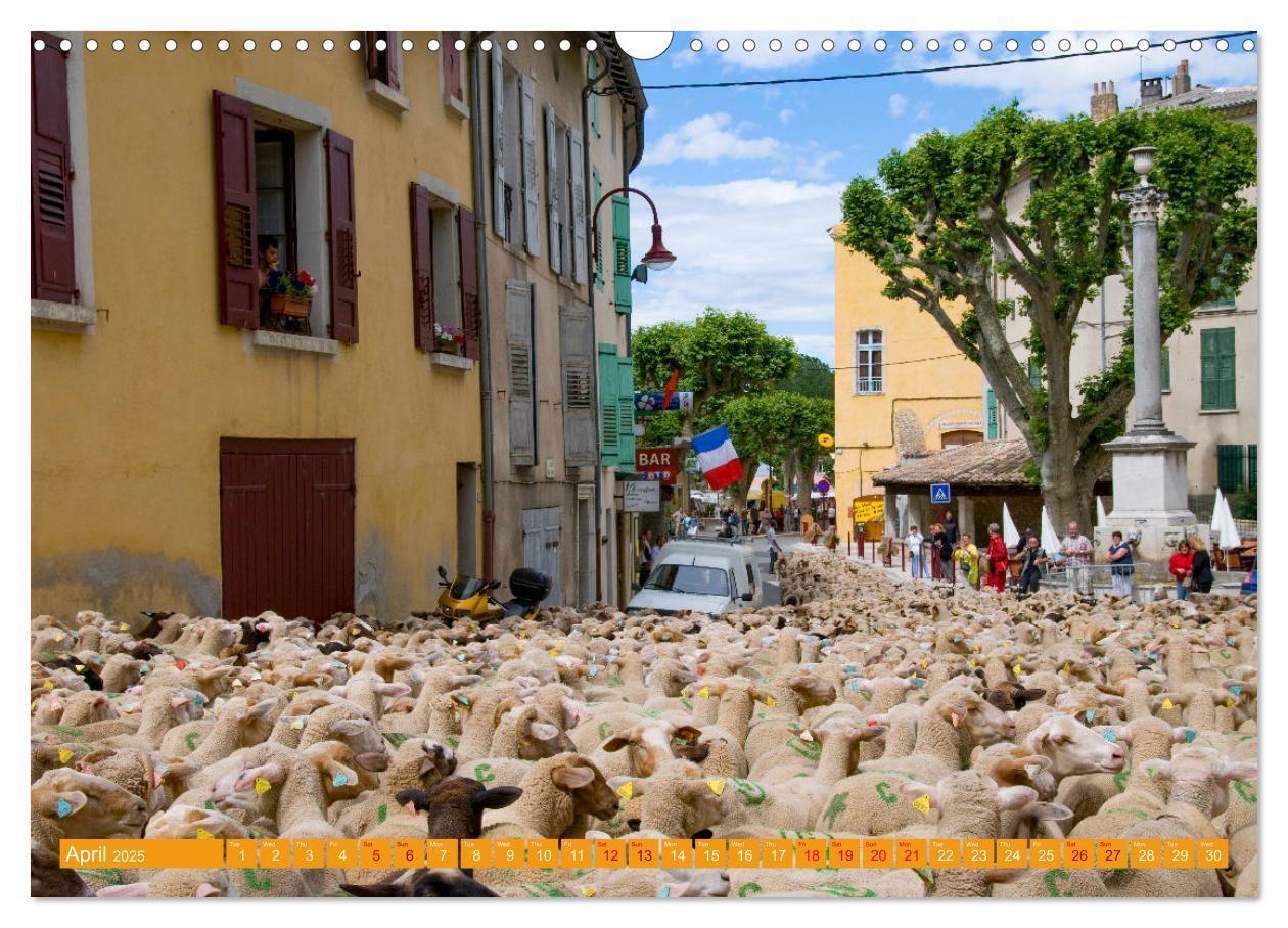 Bild: 9781325930173 | Discover the Beauty of Provence (Wall Calendar 2025 DIN A3...