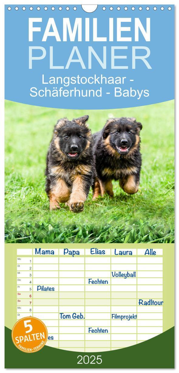 Cover: 9783457094693 | Familienplaner 2025 - Langstockhaar - Schäferhund - Babys mit 5...