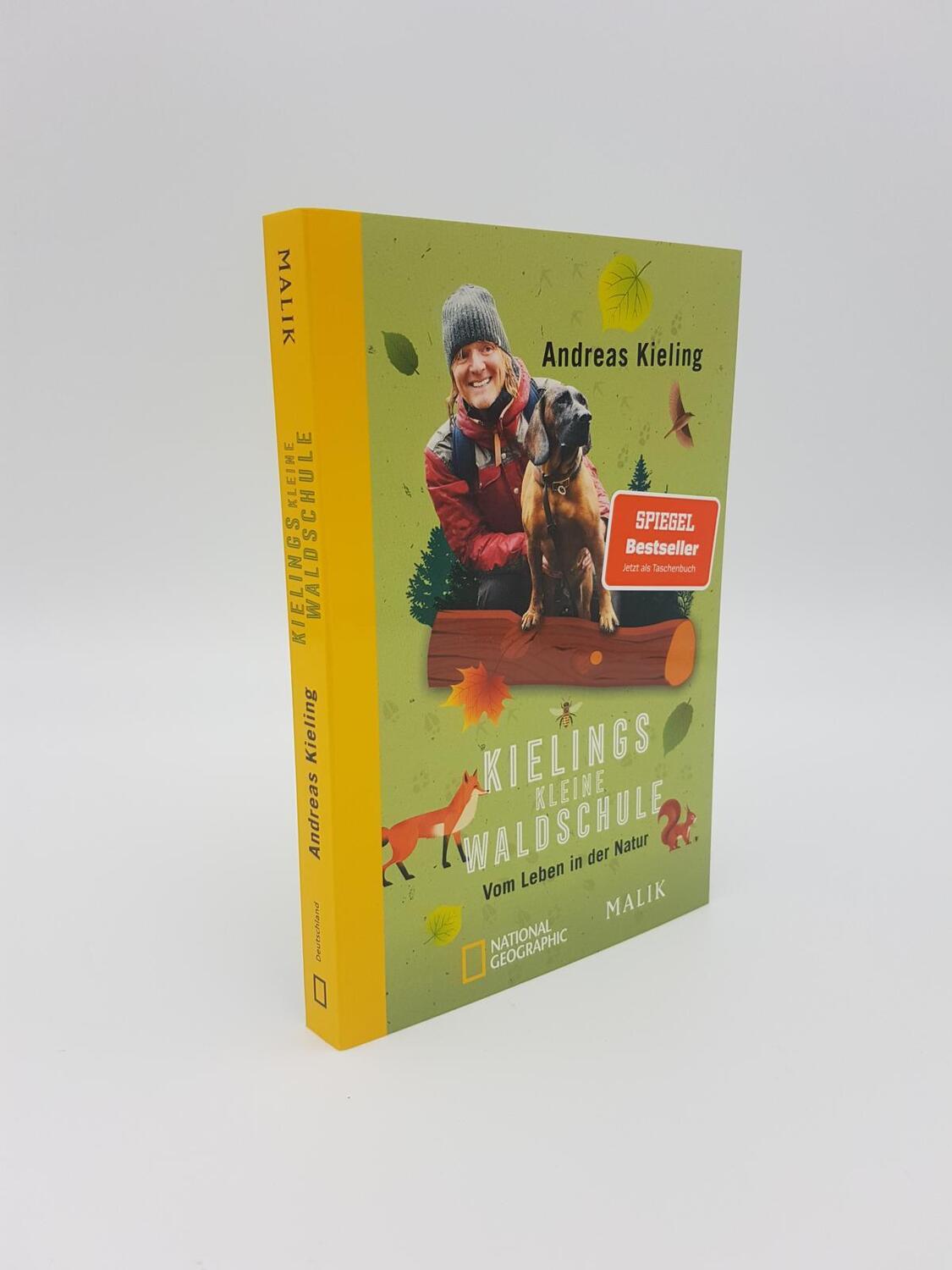 Bild: 9783492406529 | Kielings kleine Waldschule | Andreas Kieling | Taschenbuch | 208 S.