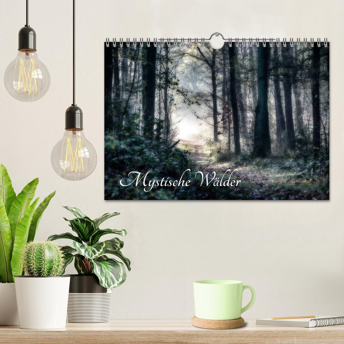 Bild: 9783435501502 | Mystische Wälder (Wandkalender 2025 DIN A4 quer), CALVENDO...