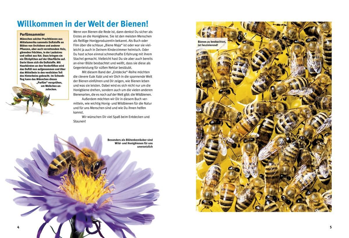 Bild: 9783866594746 | Entdecke die Bienen | Andrea Möller (u. a.) | Buch | 64 S. | Deutsch