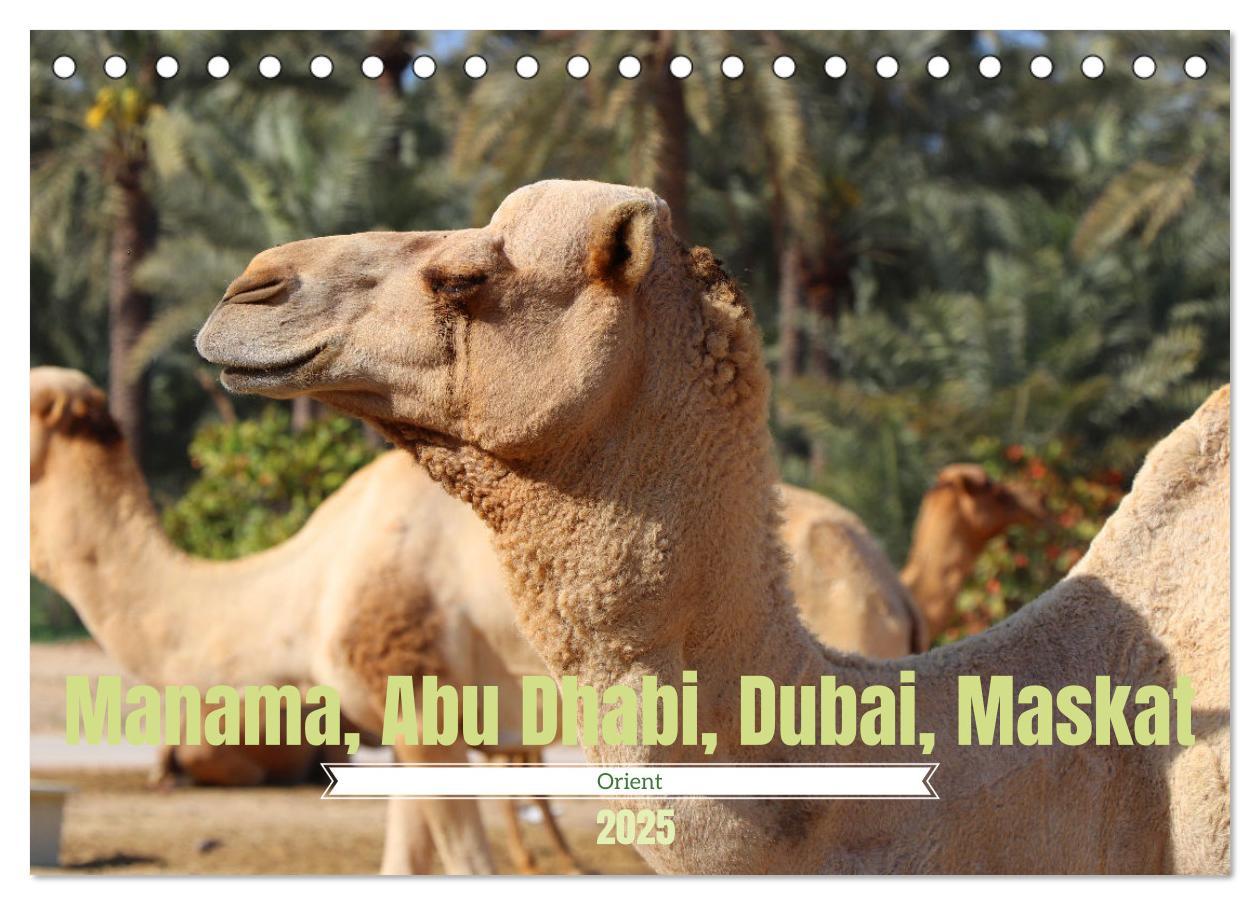 Cover: 9783435073344 | Orient - Manama, Abu Dhabi, Dubai, Maskat (Tischkalender 2025 DIN...