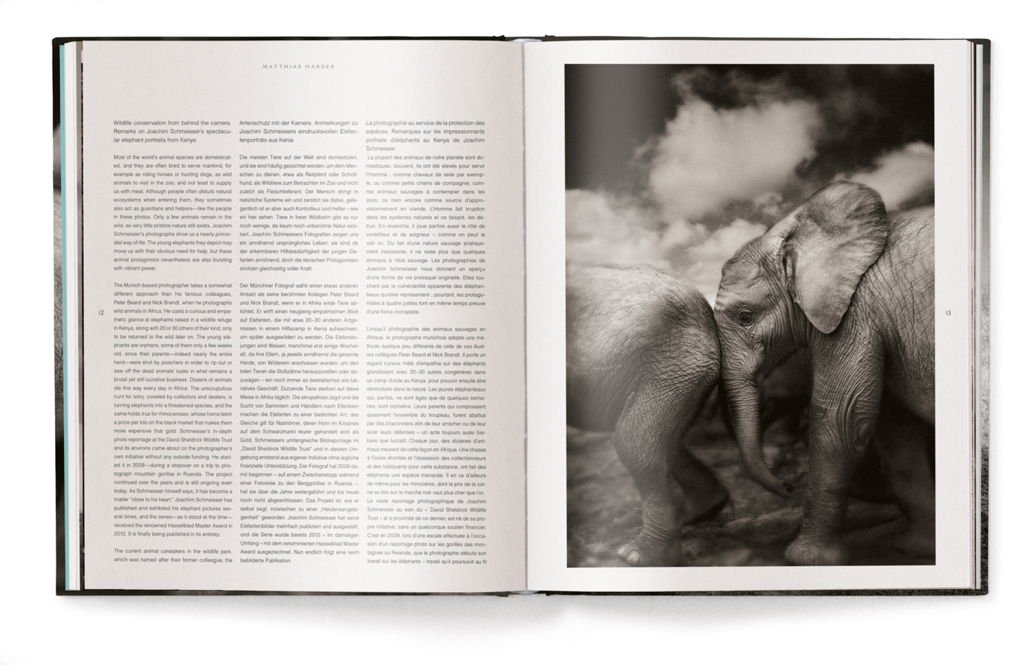 Bild: 9783961710478 | Elephants in Heaven | Joachim Schmeisser | Buch | 176 S. | Deutsch