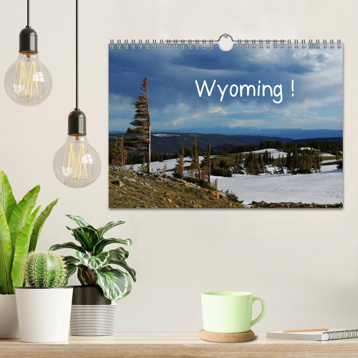 Bild: 9783435824908 | Wyoming! (Wandkalender 2025 DIN A4 quer), CALVENDO Monatskalender