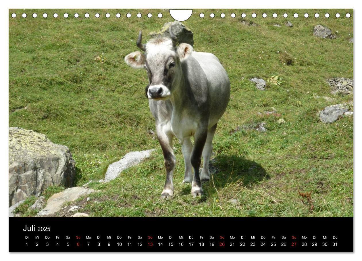 Bild: 9783435832538 | Die Welt der Berge (Wandkalender 2025 DIN A4 quer), CALVENDO...