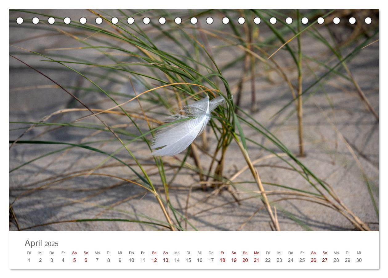 Bild: 9783435021543 | Dänemark - Henne Strand (Tischkalender 2025 DIN A5 quer), CALVENDO...