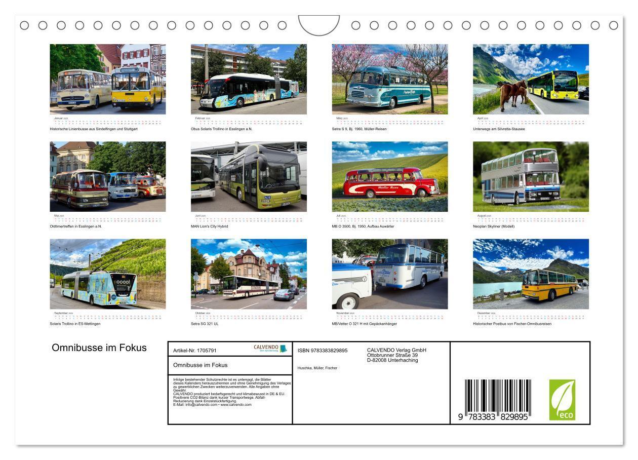 Bild: 9783383829895 | Omnibusse im Fokus (Wandkalender 2025 DIN A4 quer), CALVENDO...