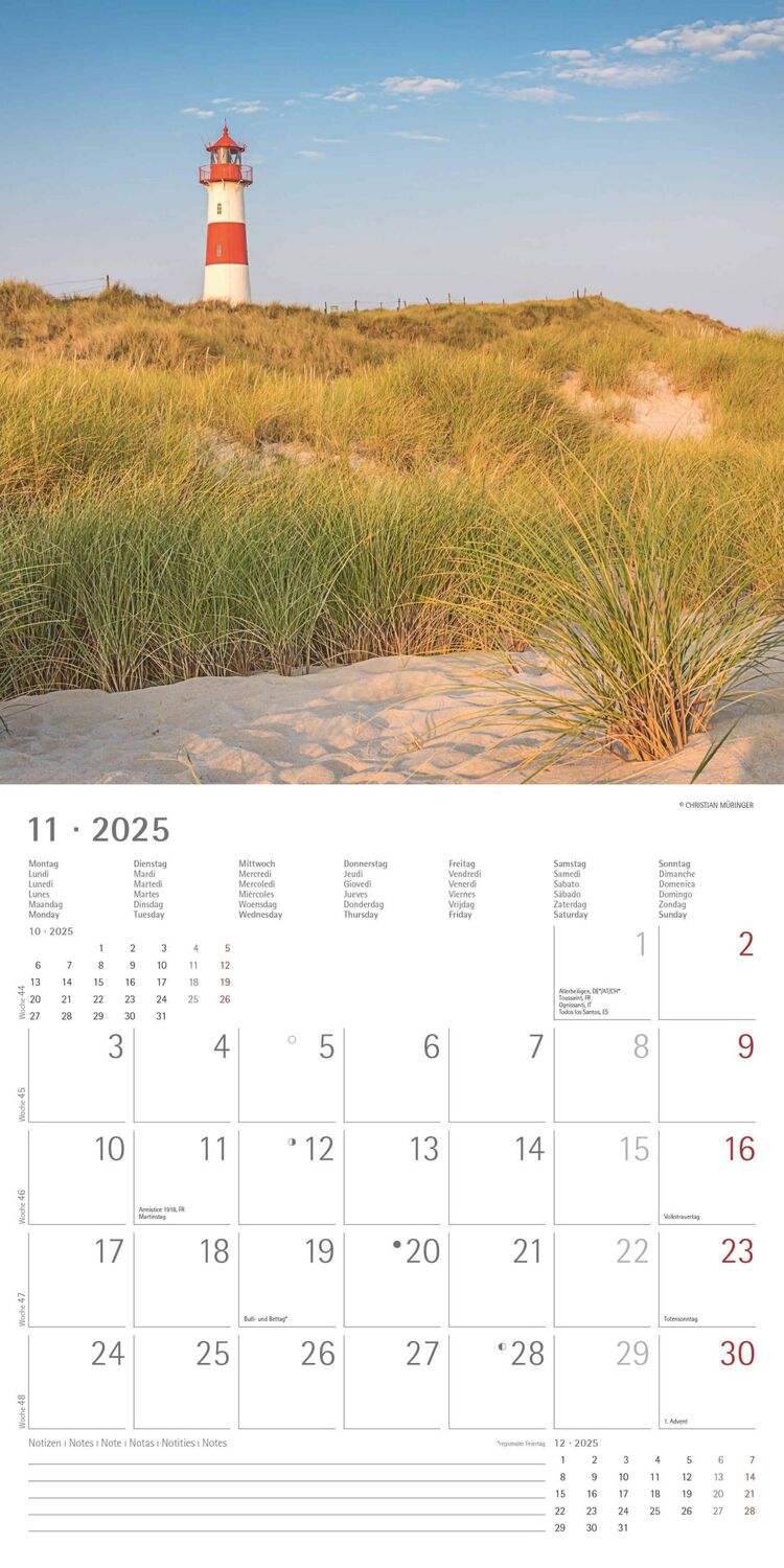 Bild: 4251732340889 | Seeblick 2025 - Broschürenkalender 30x30 cm (30x60 geöffnet) -...