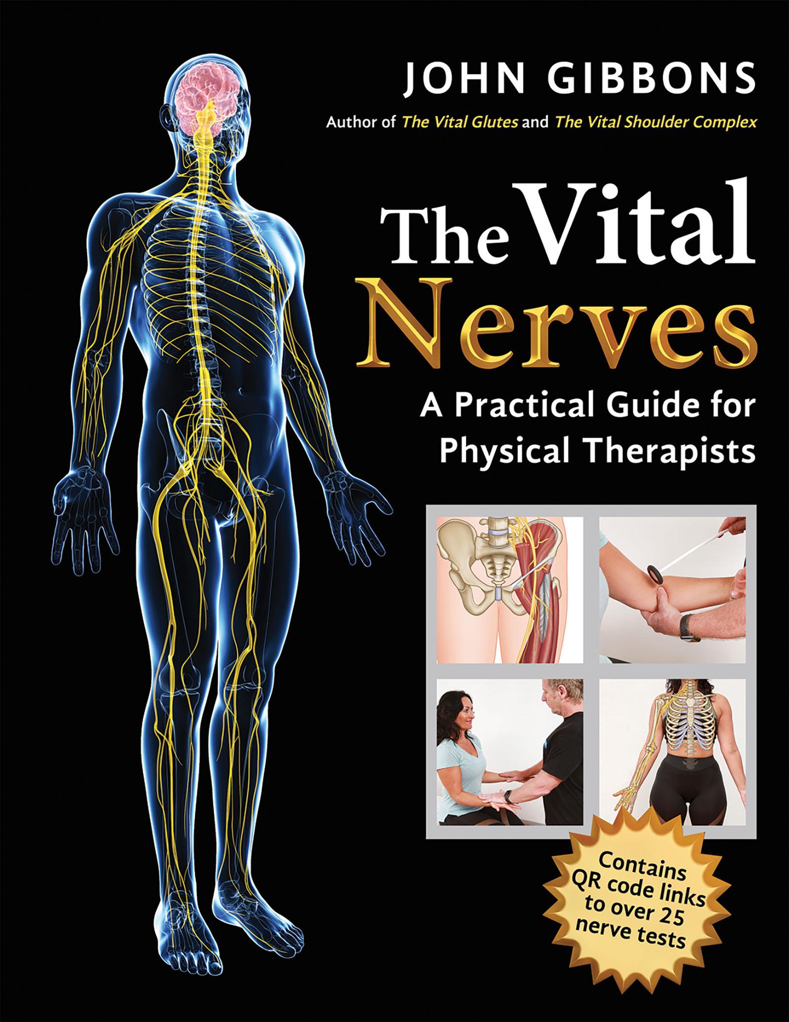 Cover: 9781913088187 | The Vital Nerves | A Practical Guide for Physical Therapists | Gibbons