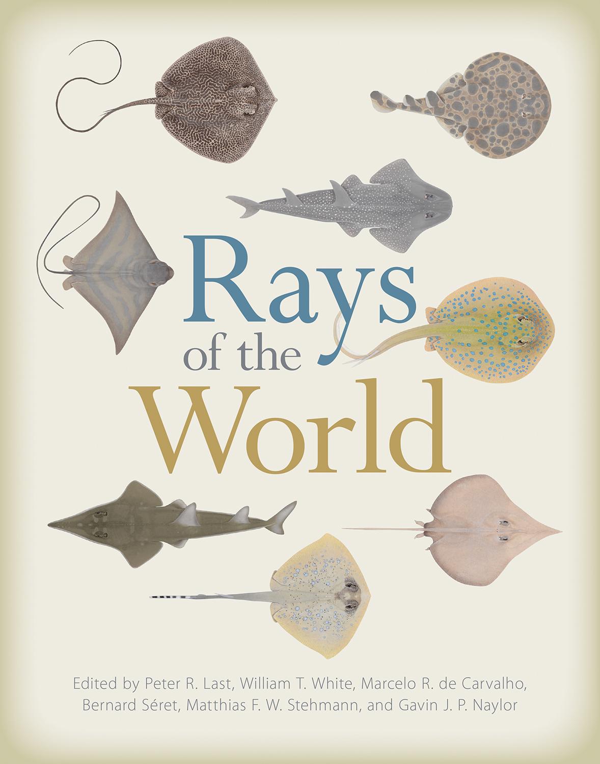 Cover: 9781501705328 | Rays of the World | Bernard Seret (u. a.) | Buch | Gebunden | Englisch