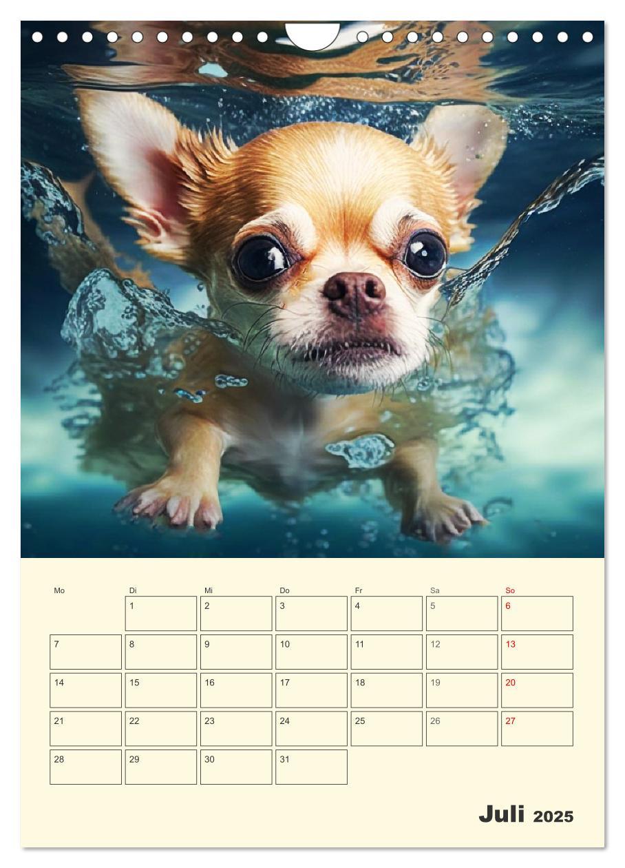 Bild: 9783435871766 | Witzige Chihuahuas. Glückliche Temperamentbündel (Wandkalender 2025...