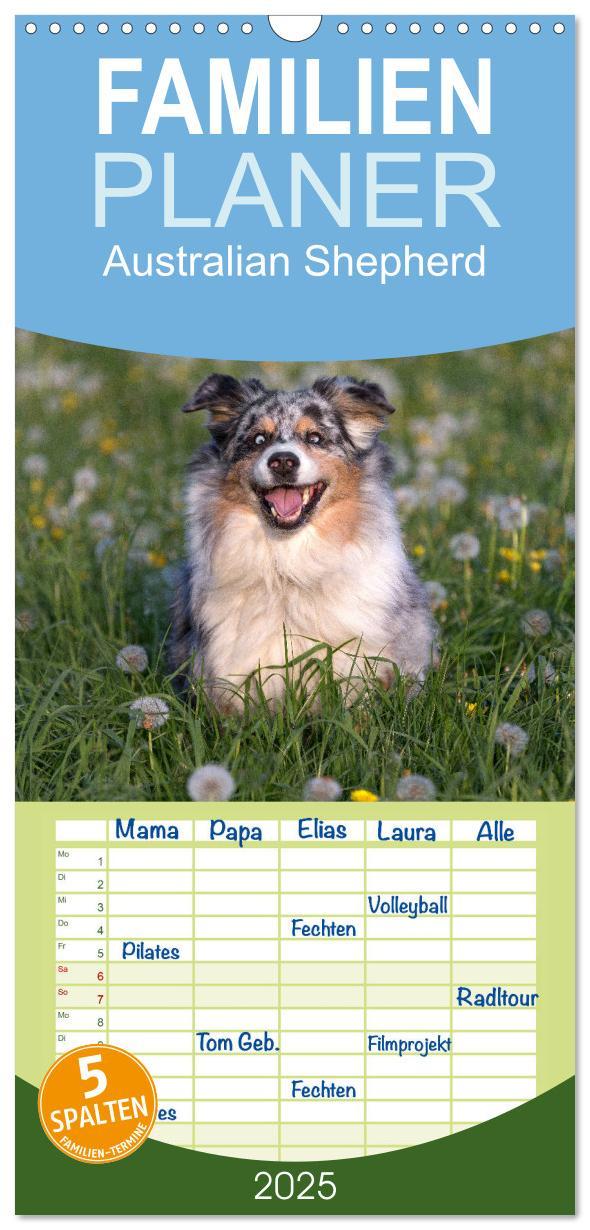 Cover: 9783457109663 | Familienplaner 2025 - Australian Shepherd mit 5 Spalten...