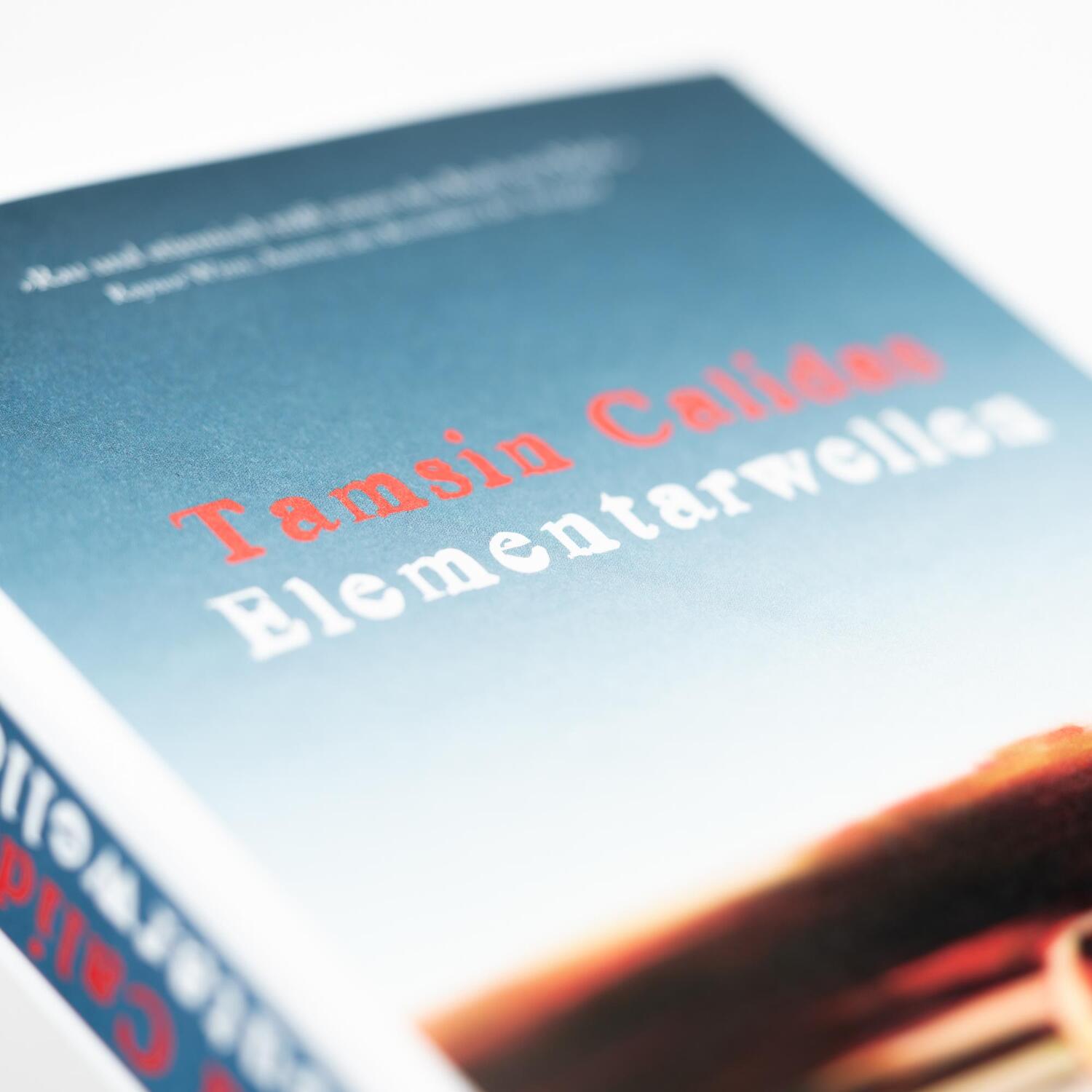 Bild: 9783365004203 | Elementarwellen | Tamsin Calidas | Taschenbuch | 352 S. | Deutsch