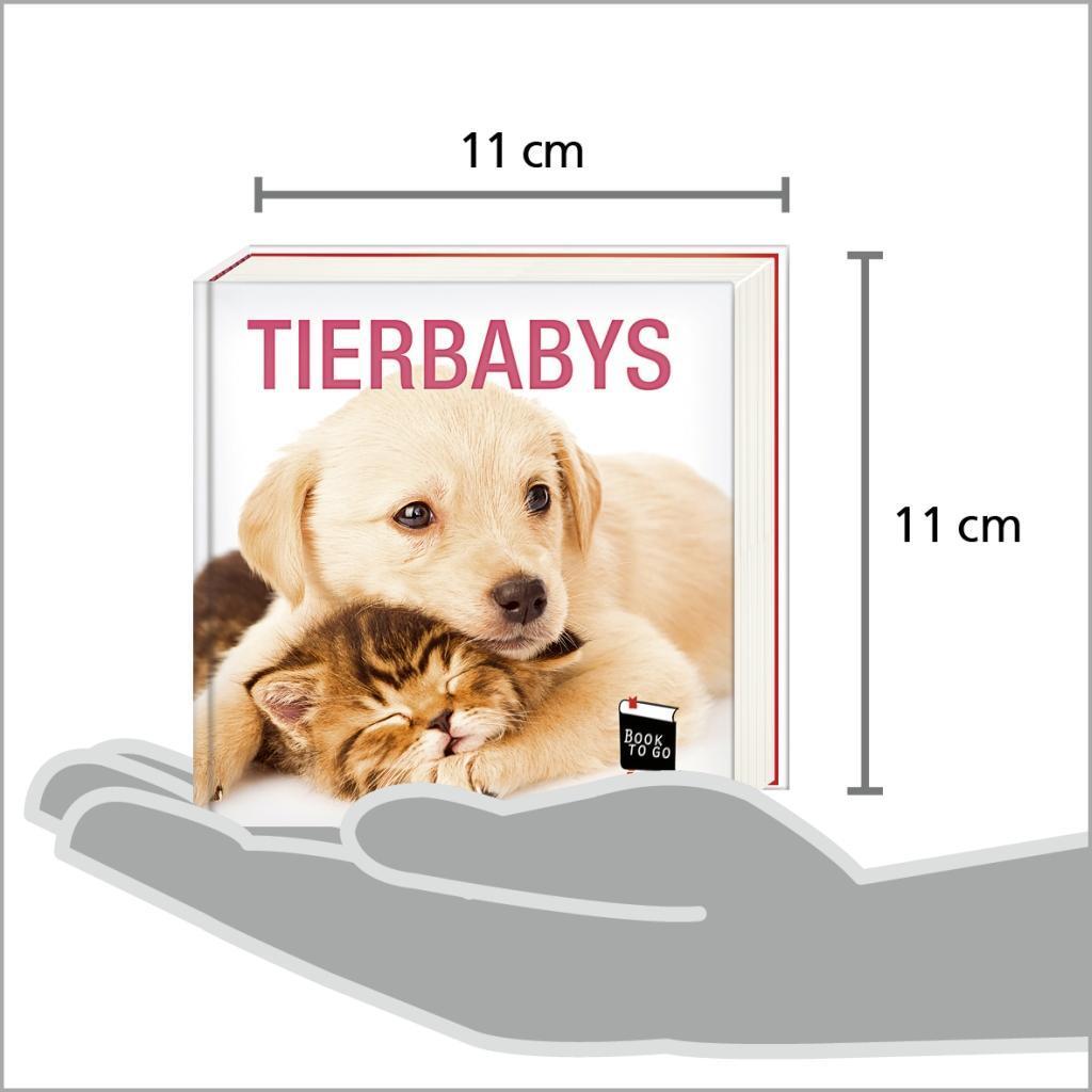 Bild: 9783957990648 | Tierbabys - Book To Go | Der Bildband für die Hosentasche | Buch