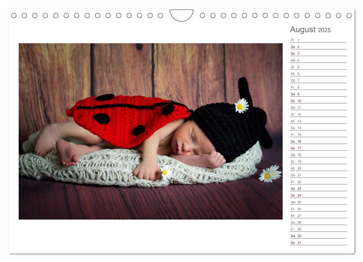 Bild: 9783435438419 | Aller Anfang ist klein - Babykalender mit Noah (Wandkalender 2025...