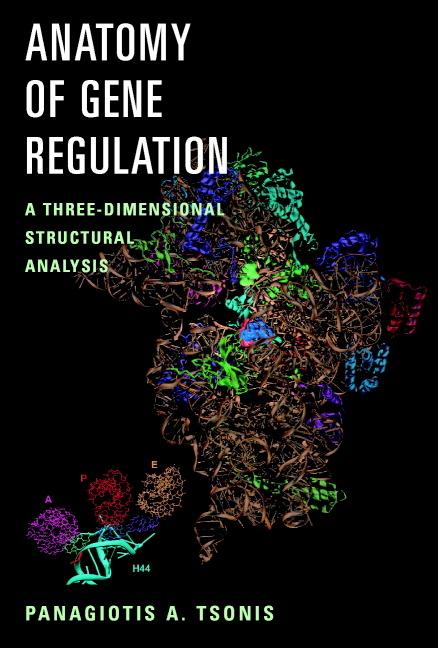 Cover: 9780521804745 | Anatomy of Gene Regulation | Panagiotis A. Tsonis | Taschenbuch | 2003