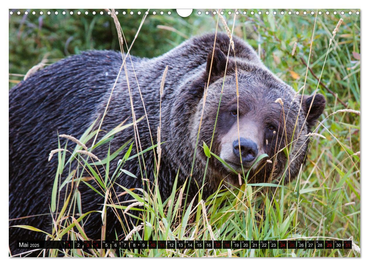 Bild: 9783435038800 | Kanada - Abenteuer in den Nationalparks (Wandkalender 2025 DIN A3...