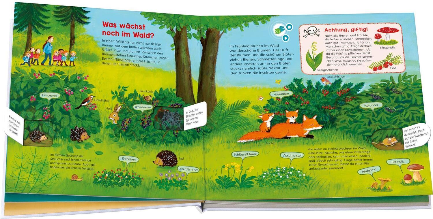 Bild: 9783788676414 | BOOKii WAS IST WAS Kindergarten Entdecke den Wald | Buch | Deutsch