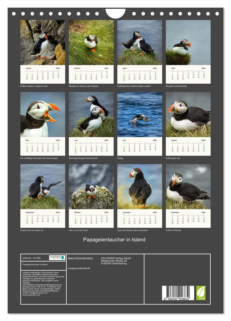 Bild: 9783435916832 | Papageientaucher in Island (Wandkalender 2025 DIN A4 hoch),...