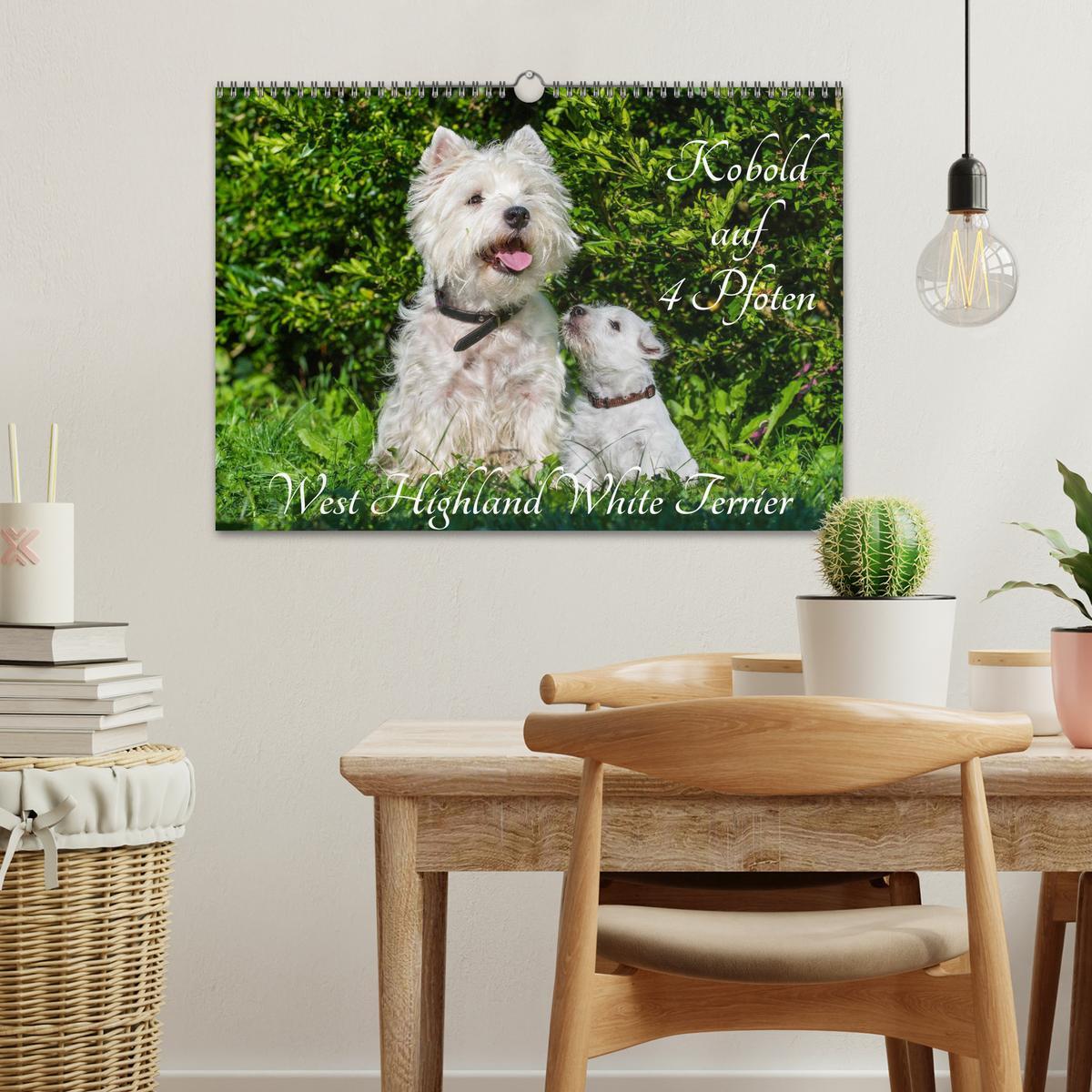 Bild: 9783435462612 | Kobold auf 4 Pfoten - West Highland White Terrier (Wandkalender...