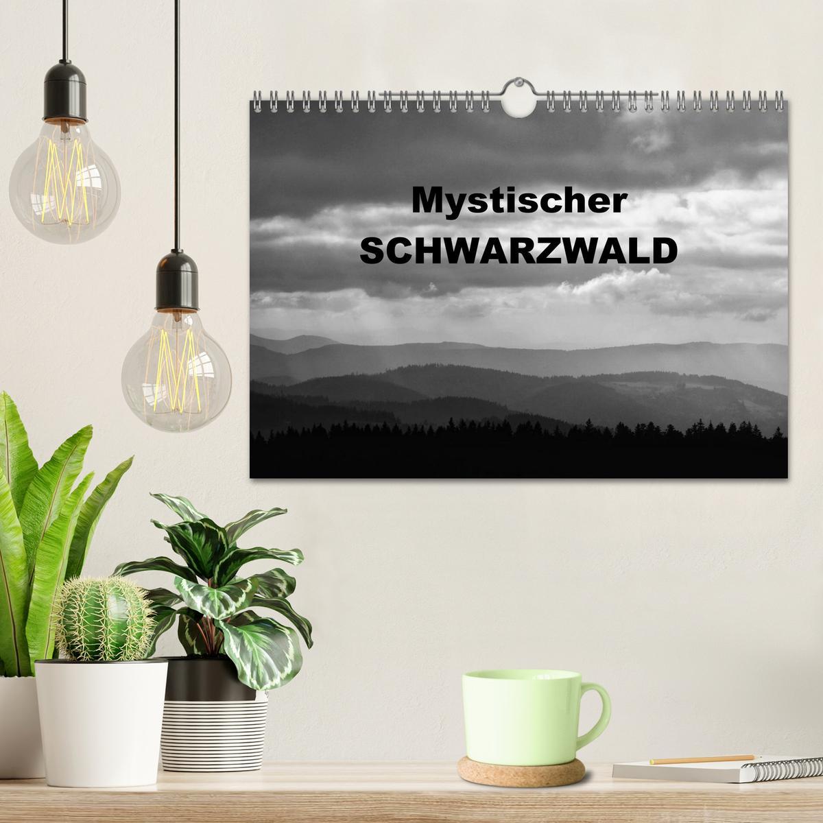 Bild: 9783435514885 | Mystischer Schwarzwald (Wandkalender 2025 DIN A4 quer), CALVENDO...