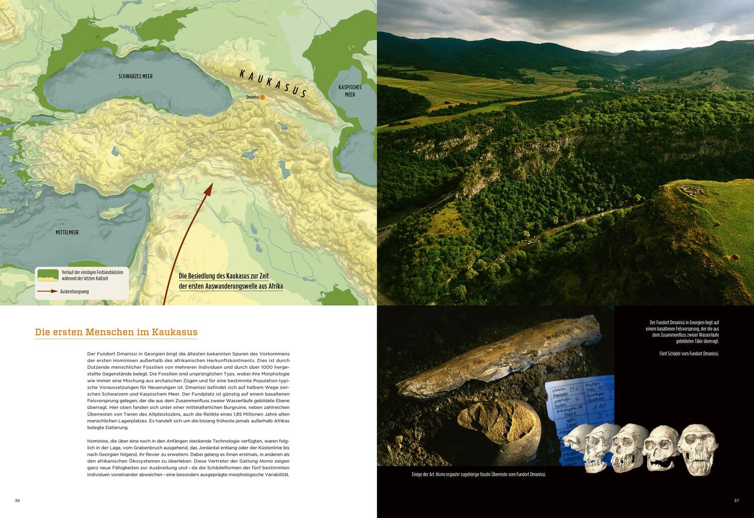 Bild: 9783534610044 | Homo sapiens | Der große Atlas der Menschheit | Telmo Pievani (u. a.)