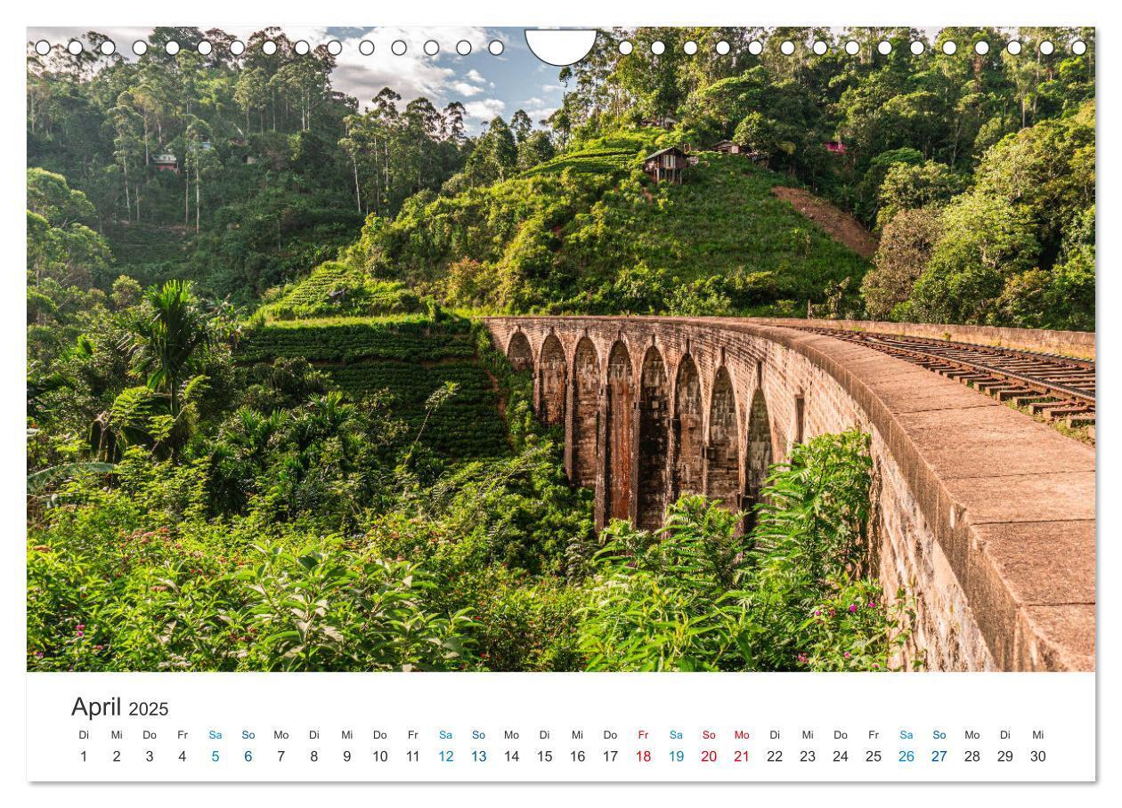 Bild: 9783435150786 | Traumziel Sri Lanka (Wandkalender 2025 DIN A4 quer), CALVENDO...