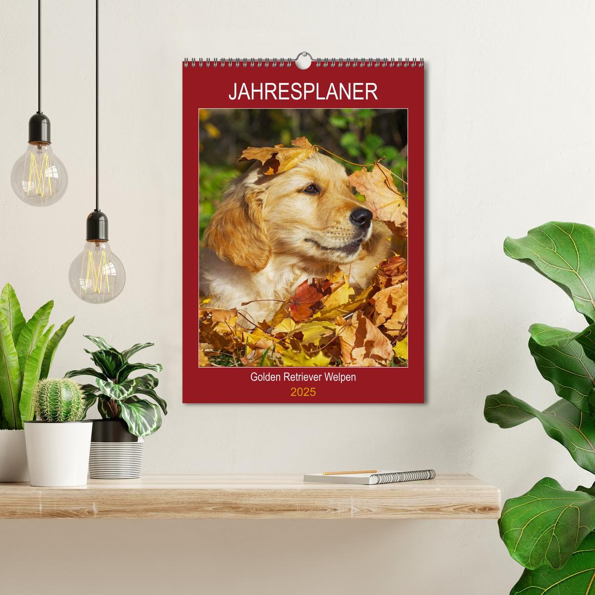 Bild: 9783435959266 | Jahresplaner Golden Retriever Welpen (Wandkalender 2025 DIN A3...