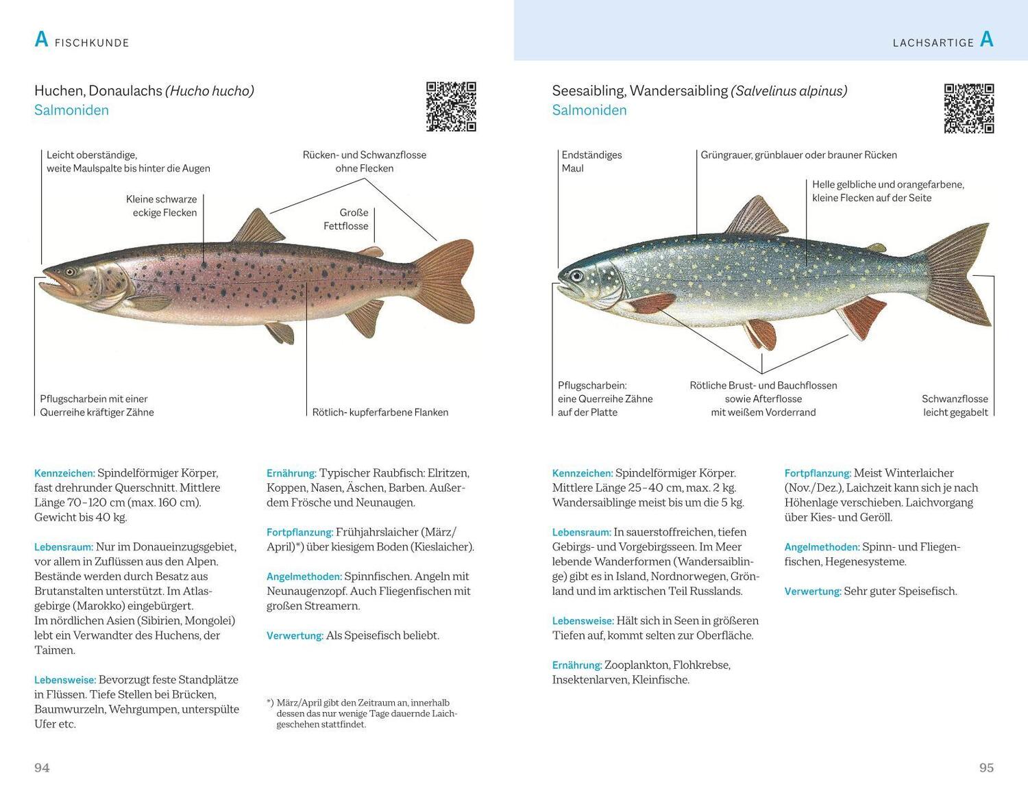 Bild: 9783967470963 | Fischerprüfung | Das Standardwerk | Alexander Kölbing (u. a.) | Buch