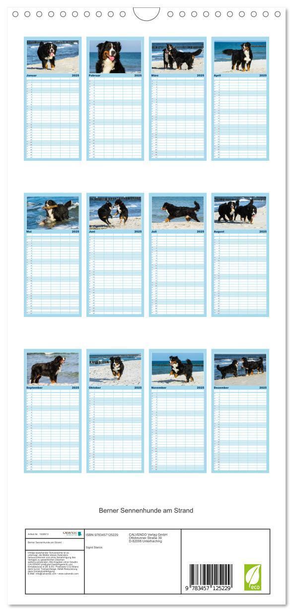 Bild: 9783457125229 | Familienplaner 2025 - Berner Sennenhunde am Strand mit 5 Spalten...