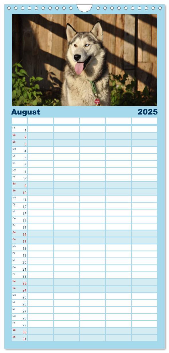 Bild: 9783457113264 | Familienplaner 2025 - Husky-Kalender mit 5 Spalten (Wandkalender,...