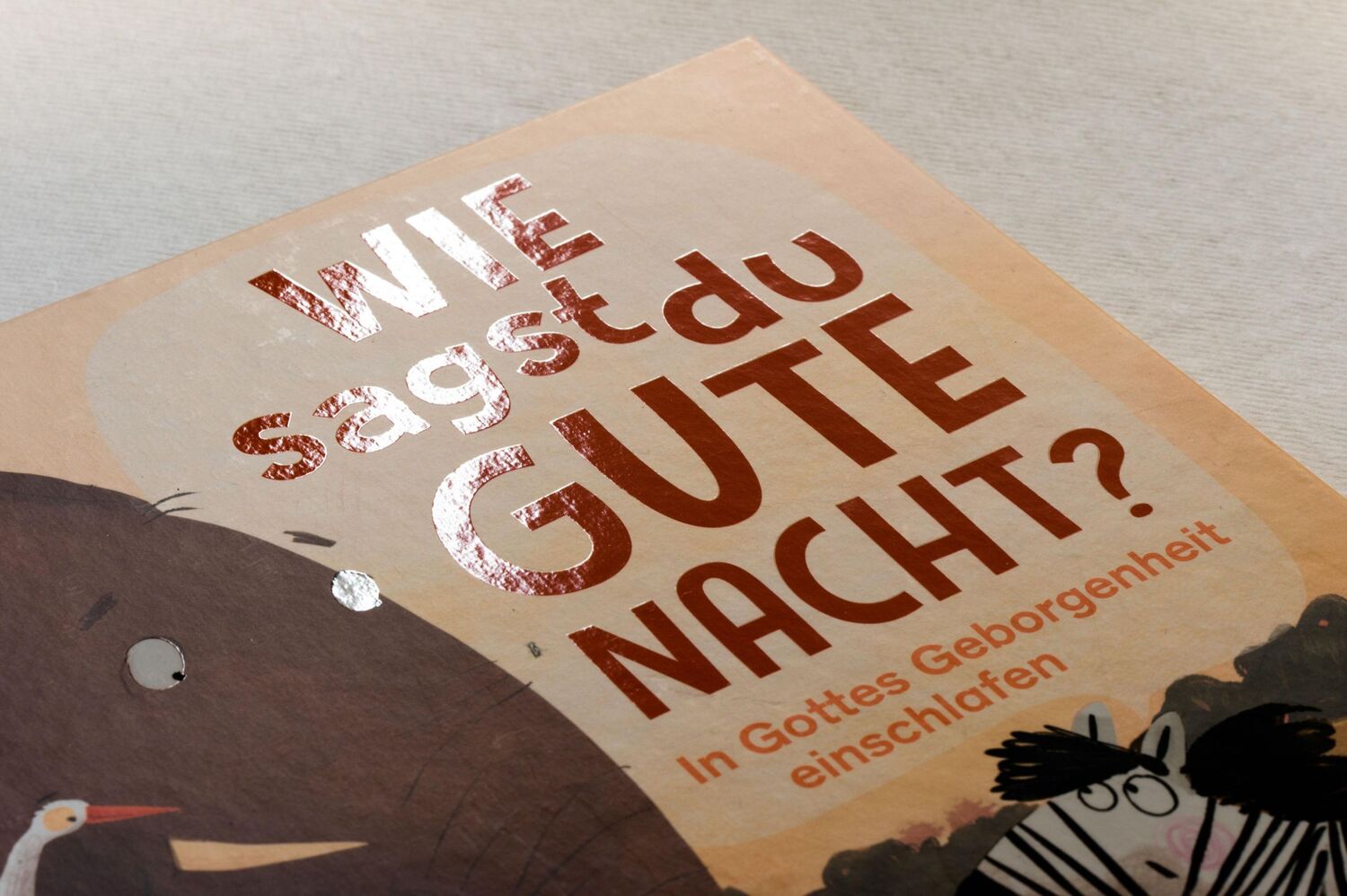 Bild: 9783579071909 | Wie sagst du Gute Nacht? | Catalina Echeverri | Buch | 32 S. | Deutsch