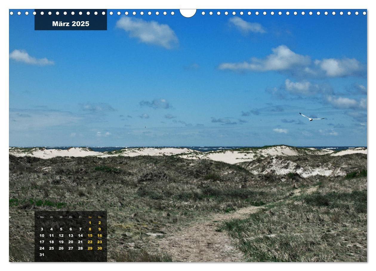 Bild: 9783435331390 | Texel Insel mit Charakter (Wandkalender 2025 DIN A3 quer), CALVENDO...