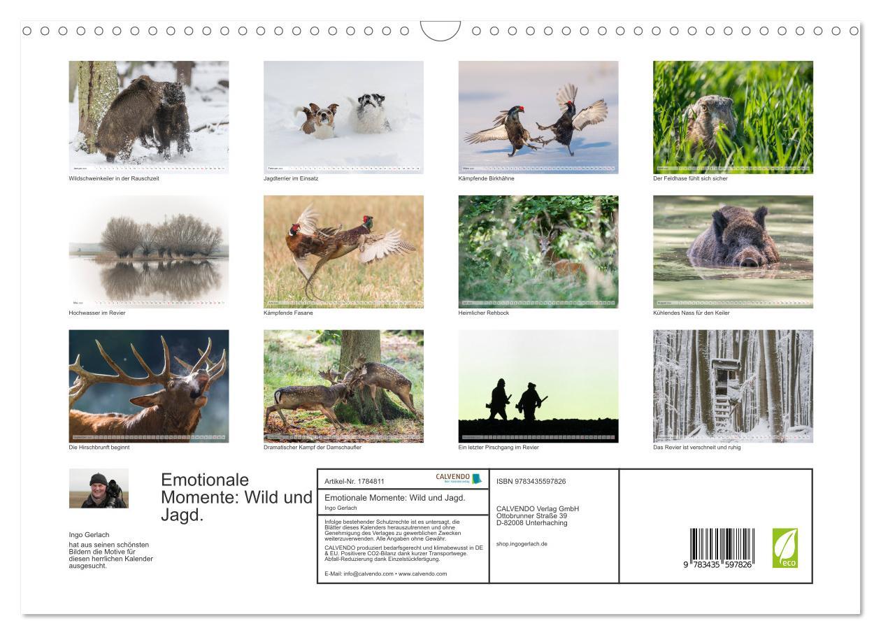 Bild: 9783435597826 | Emotionale Momente: Wild und Jagd. (Wandkalender 2025 DIN A3 quer),...