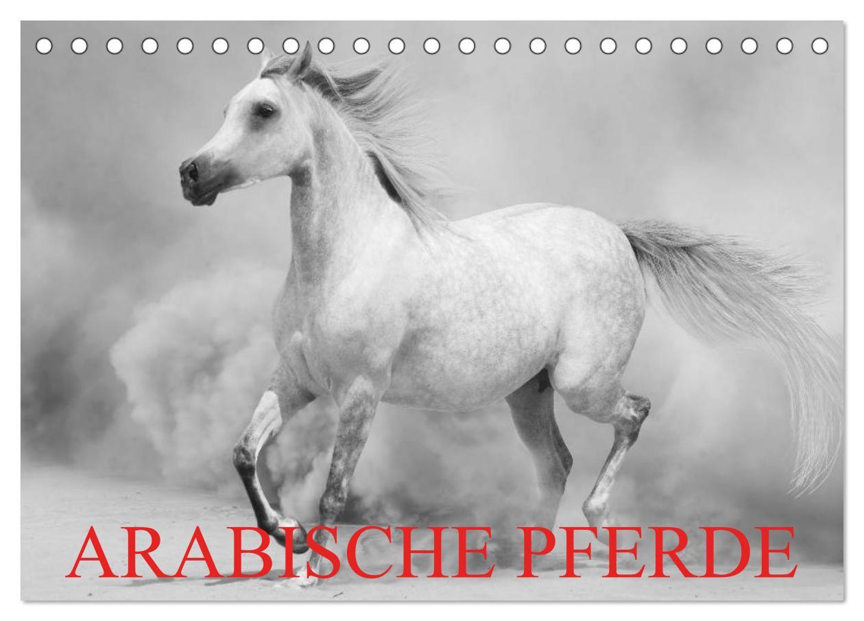 Cover: 9783435684472 | Arabische Pferde (Tischkalender 2025 DIN A5 quer), CALVENDO...