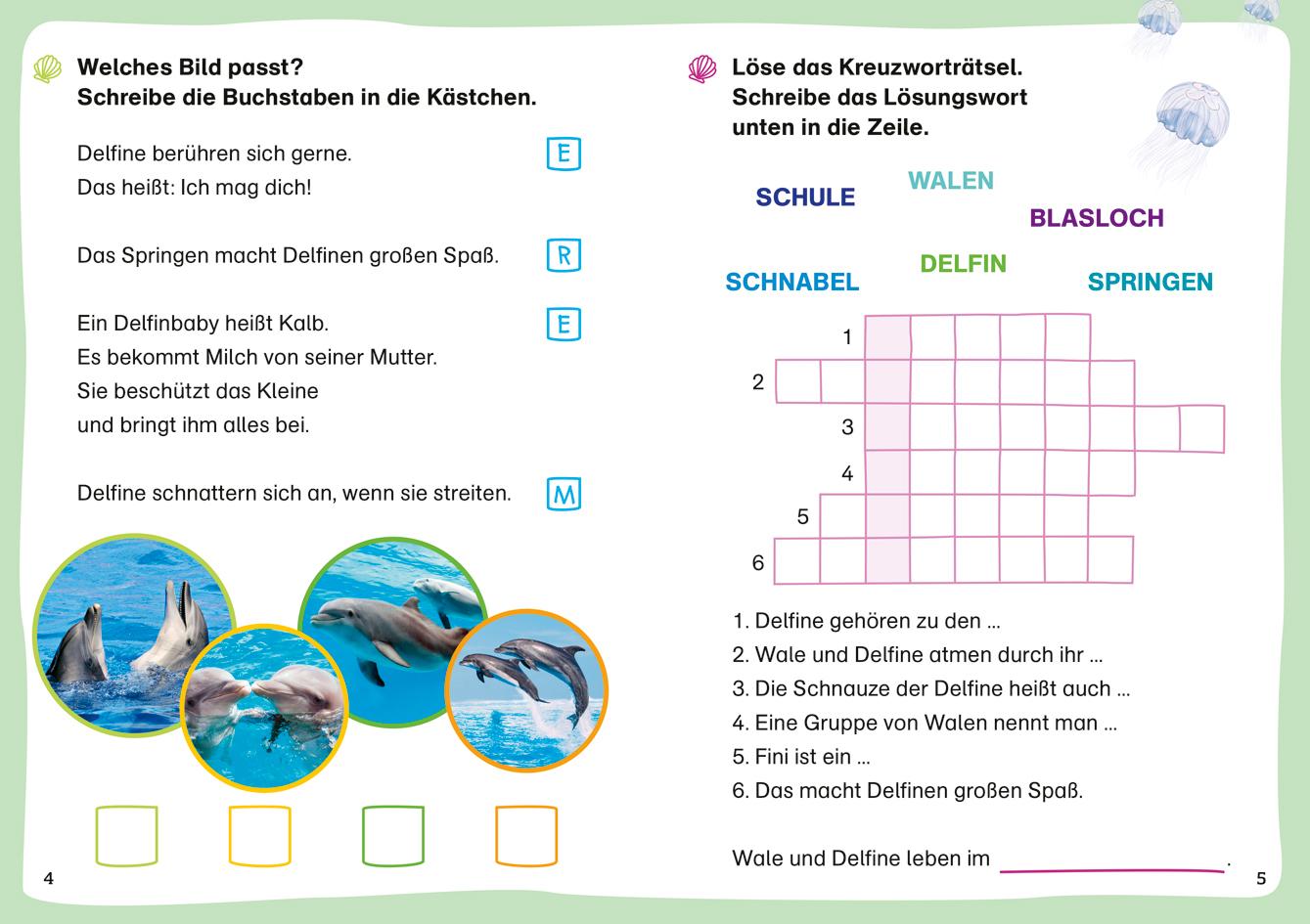 Bild: 9783788681449 | WAS IST WAS Erstes Lesen. Leserätsel Wale und Delfine | Braun | 48 S.