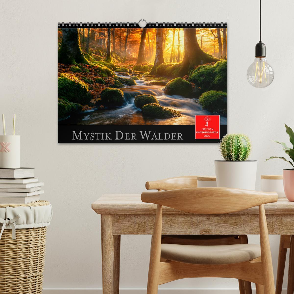 Bild: 9783457224786 | Mystik der Wälder (Wandkalender 2025 DIN A3 quer), CALVENDO...