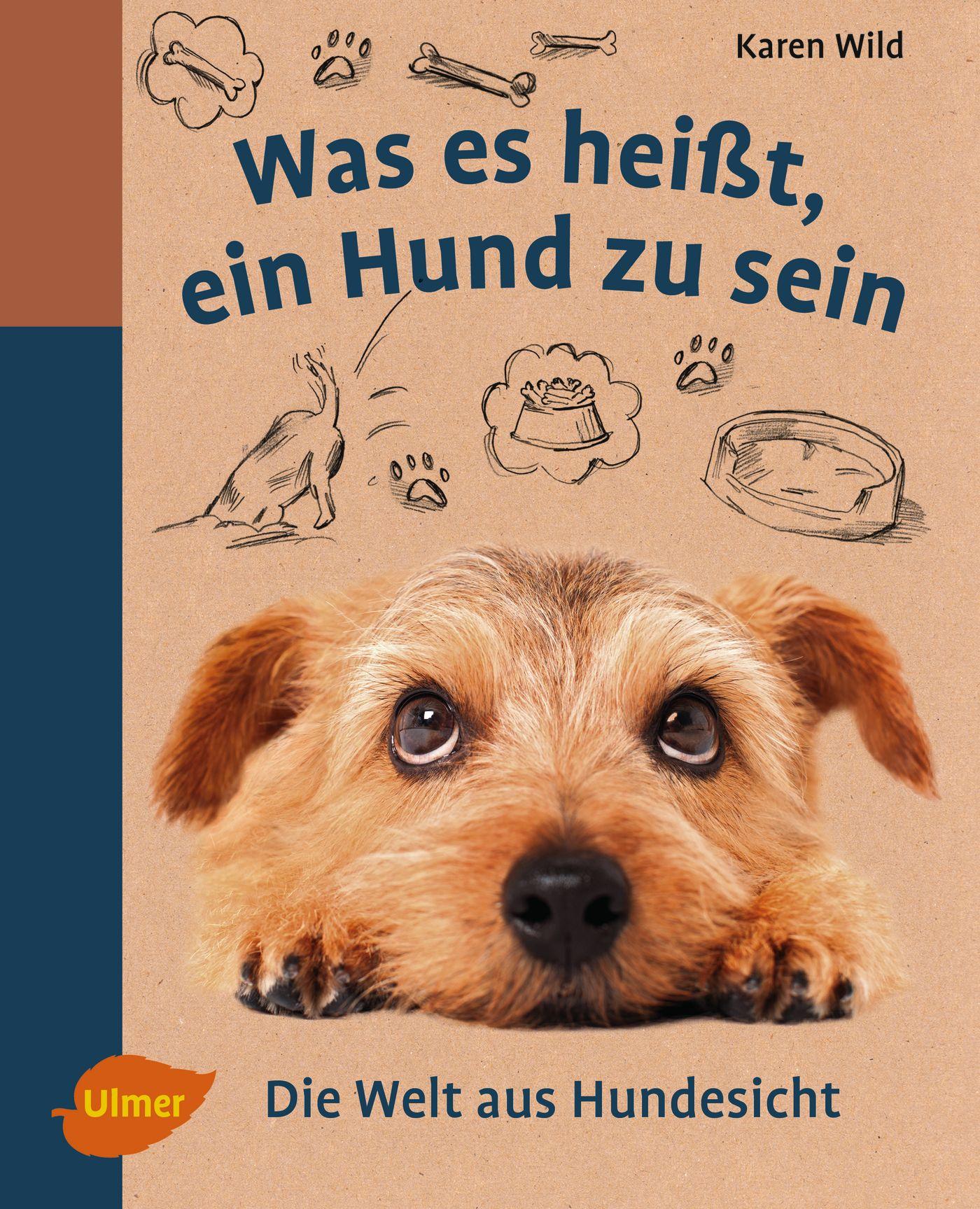 Cover: 9783818600228 | Was es heißt, ein Hund zu sein | Die Welt aus Hundesicht | Karen Wild