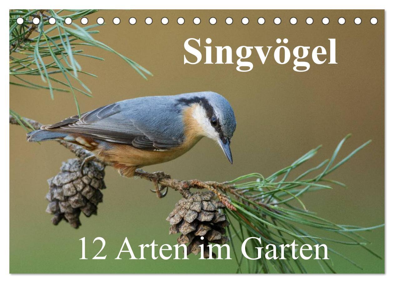 Cover: 9783435458363 | Singvögel - 12 Arten im Garten (Tischkalender 2025 DIN A5 quer),...