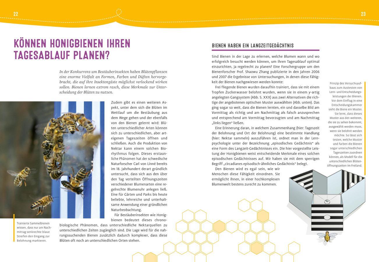 Bild: 9783818620837 | Auch Bienen haben Schweißfüße | Jürgen Tautz | Buch | 144 S. | Deutsch