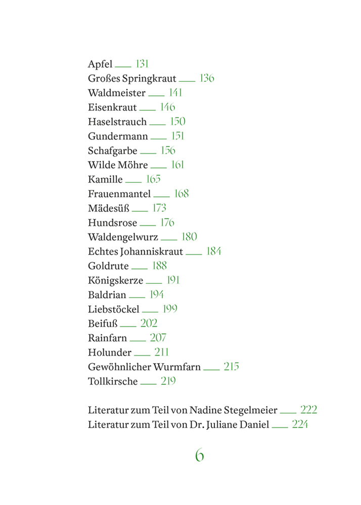 Bild: 9783961571925 | Marias heilige Kräuter | mit Marienpflanzen durch das Jahr | Buch