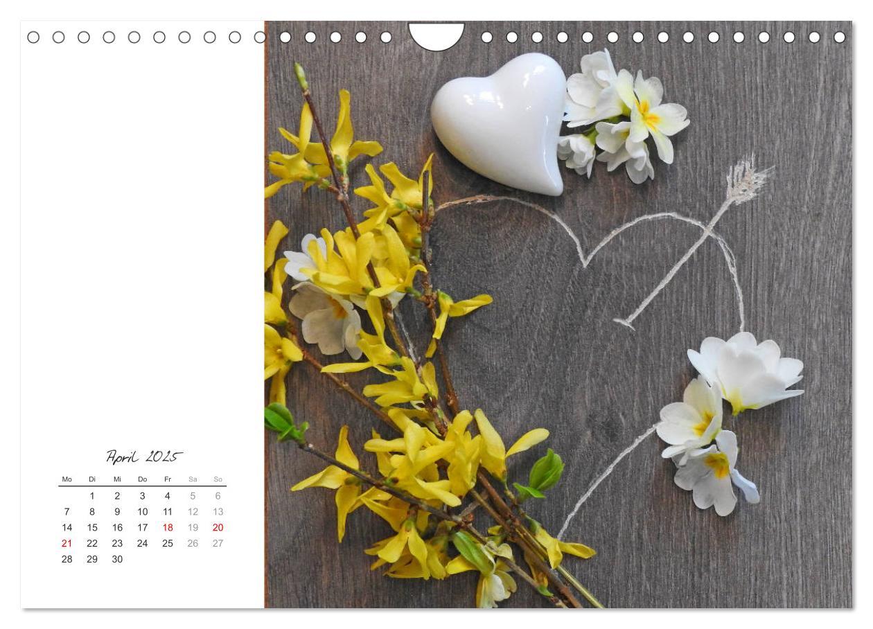 Bild: 9783435153176 | Ein Kalender voll Liebe (Wandkalender 2025 DIN A4 quer), CALVENDO...